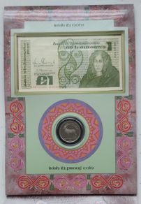 Irish 1989 /90 One Pound Coin And Banknote Set