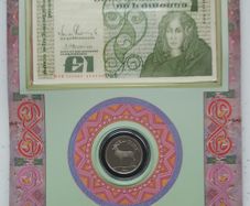Irish 1989 /90 One Pound Coin And Banknote Set