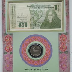 Irish 1989 /90 One Pound Coin And Banknote Set