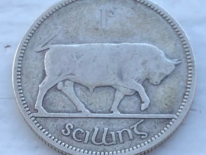 Rare Irish one Shilling