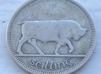Rare Irish one Shilling