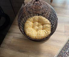 pet hanging chair