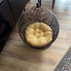 pet hanging chair