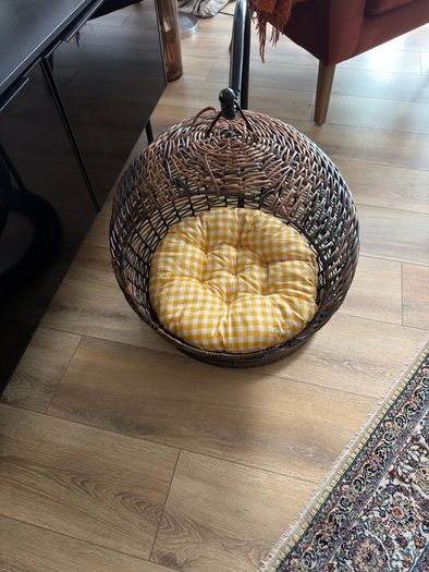 pet hanging chair
