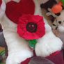 Teddys and soft toys Image 3
