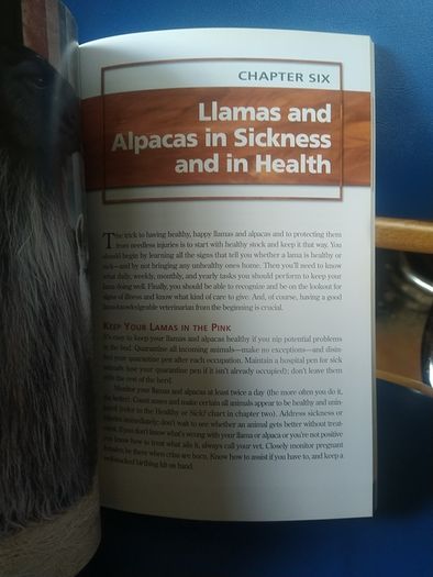 Llamas and Alpacas book