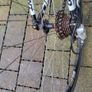 bike Image 10