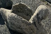 Swan garden statue stone