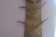 IKEA frog soft toy/light toy holder
