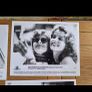 Thelma And Louise Press Kit Image 4