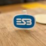 ESB Retro Logo Glossy Stickers 2-Pack Image 2