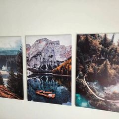 3 canvas 47x67cm