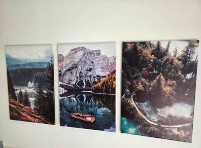 3 canvas 47x67cm