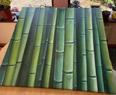 Large Bamboo Canvas Picture