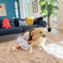 Fluffy Shaggy Rugs Living Room, Large Anti Slip Carpet, Machine Washable Soft Thick Pile Bedside Rug for Kids Bedroom, Nursery - Beige, 120 x 160 cm Image 5