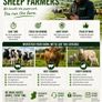 Bord Bia Audit Prep Service  Dairy, Beef & Sheep Image 2