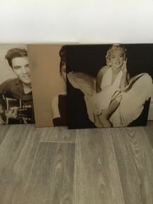 Pictures