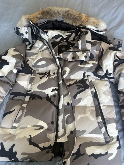 canada goose
