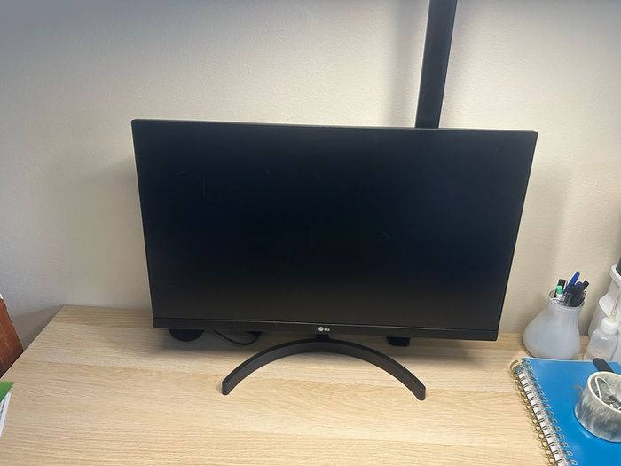 Lg monitor