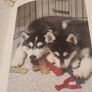 Siberian Huskies New Owners Guide, By Kathleen Kanzler, Hardcover Image 7