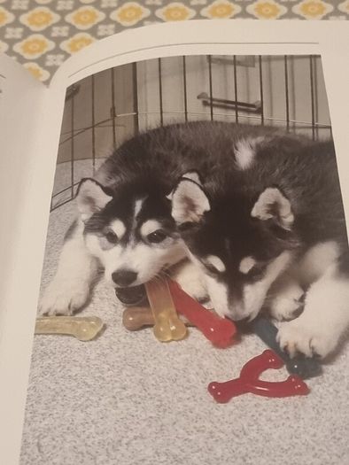 Siberian Huskies New Owners Guide, By Kathleen Kanzler, Hardcover