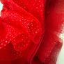 Girls Red Skirt Image 4