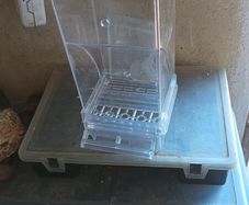 bird feeder