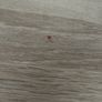 Display cabinet wood effect Image 4