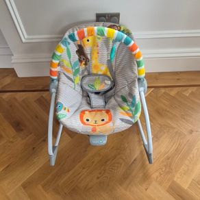 Bright starts bouncer chair