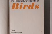 The Pictorial Encyclopedia of Birds edited by Bruce Campbell