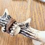 New set of 2 15cm long antler drawer pulls Image 4