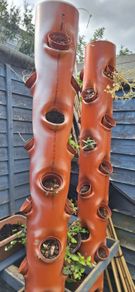 Vertical Planter