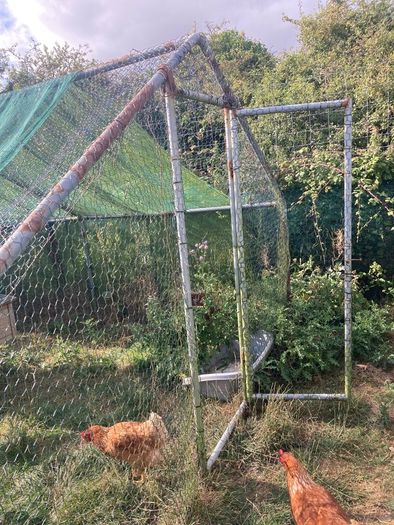 chicken coup and enclosure