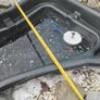 fish pond Image 6