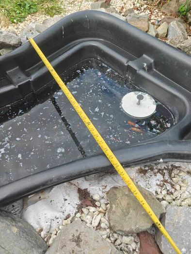 fish pond