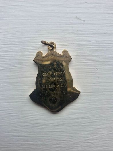 Leinster GAA Medals