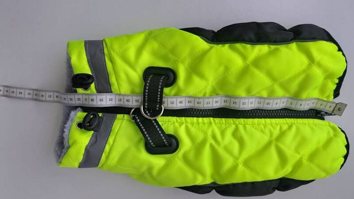 dog jacket