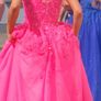 Debs dress Image 2