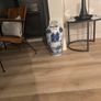 Unusual Umbrella Stand Image 4