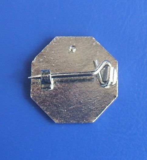 ISHH (unidentified) enamel badge (c.1970's)