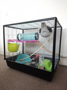 Large Rat Cage (perfect for rodents) and Small Animal Carrier.