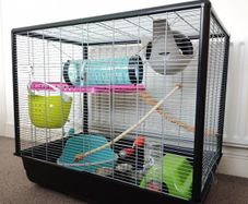 Large Rat Cage (perfect for rodents) and Small Animal Carrier.
