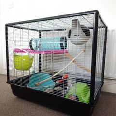 Large Rat Cage (perfect for rodents) and Small Animal Carrier.