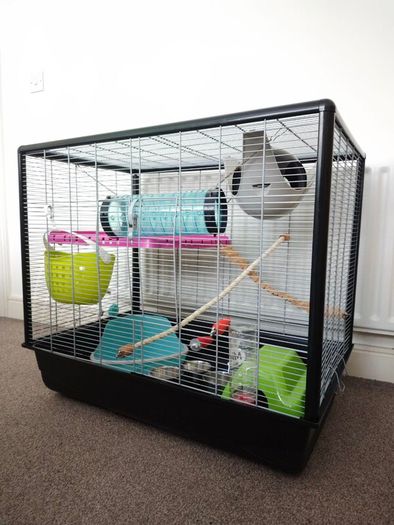 Large Rat Cage (perfect for rodents) and Small Animal Carrier.