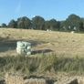 Tested Square Bales Of Premium Quality Hay Image 7