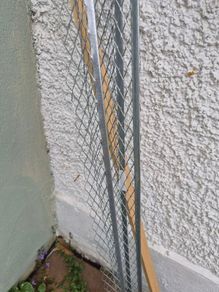 External Render Bead