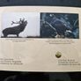Ireland 2006 Glenveagh National Park and Castle Co. Donegal Uncirculated coin set Image 8