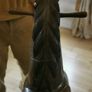 19th Century Rocking Horse Image 2