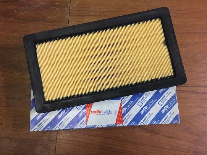 Air Filter (Fiat Punto Diesel 93/99)