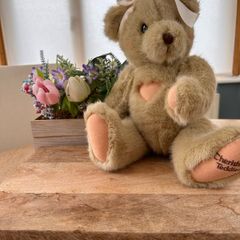 Cherished Teddies soft toy bear (see NEW! below)